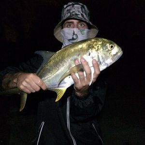 Meet your Posher, Phillip