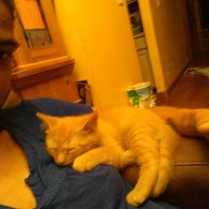 Meet your Posher, Denise