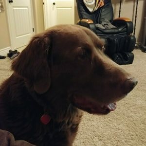 Meet your Posher, Bonnie