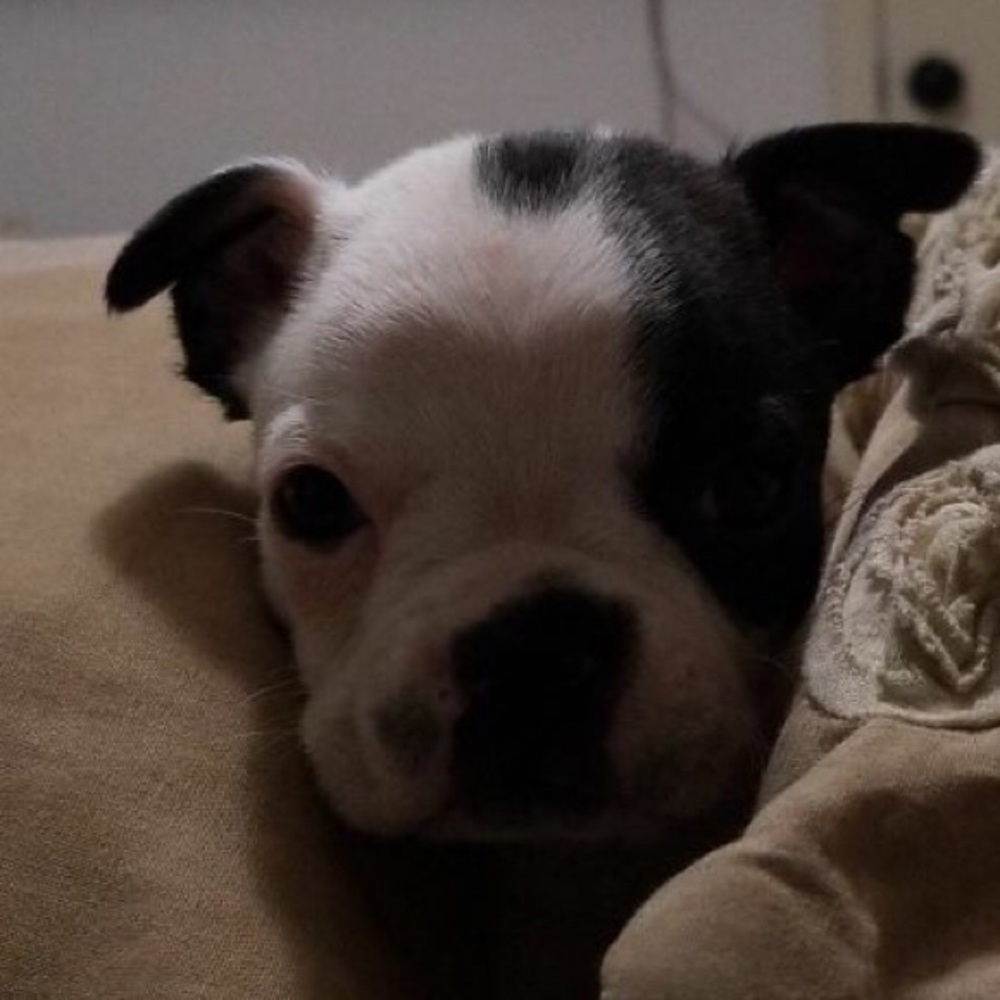 Meet your Posher, Estefania