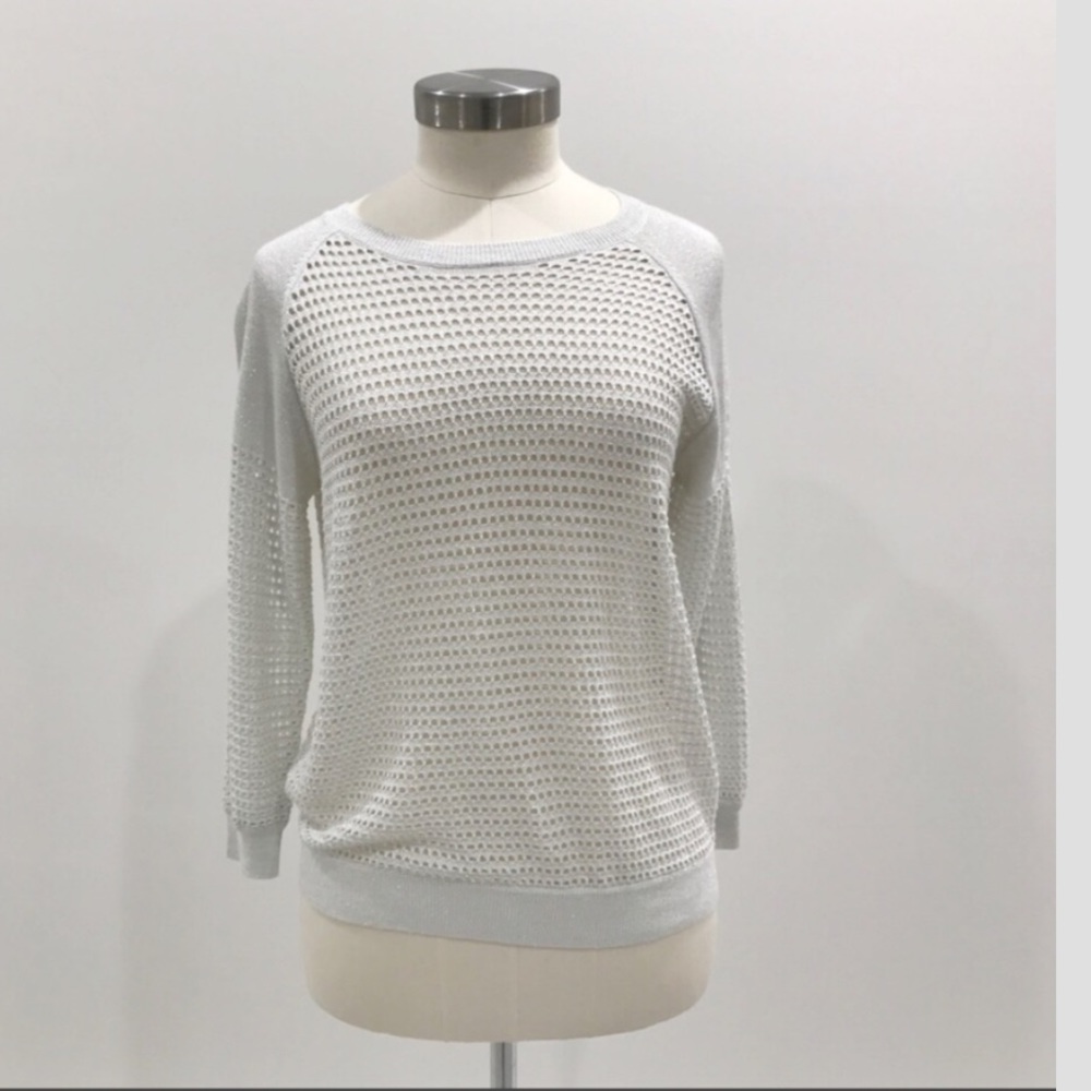 Express Sparkly Sweater