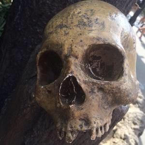 Meet your Posher, Sue