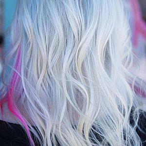 Meet your Posher, Diane