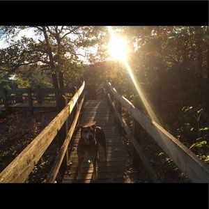 Meet your Posher, Ali