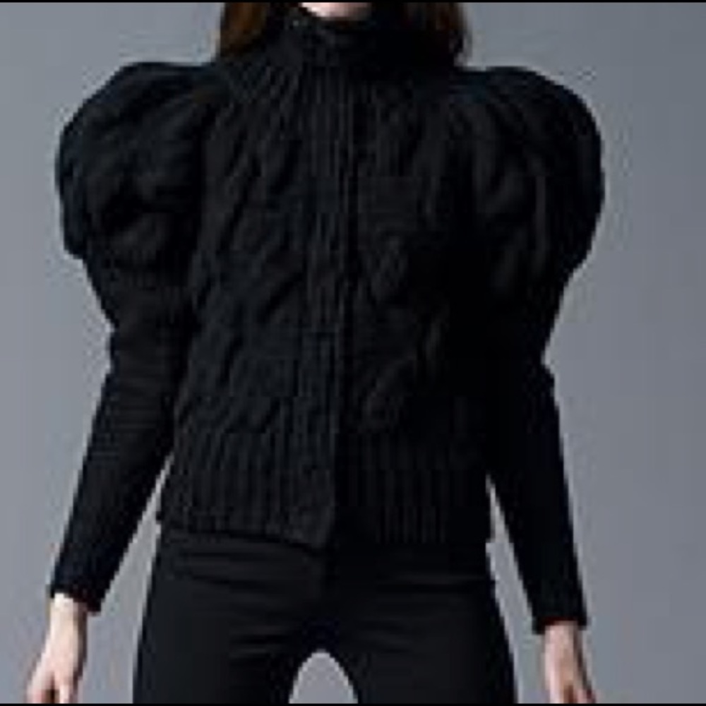 Victorian Sleeve Sweater Jacket Magnetic Closures
