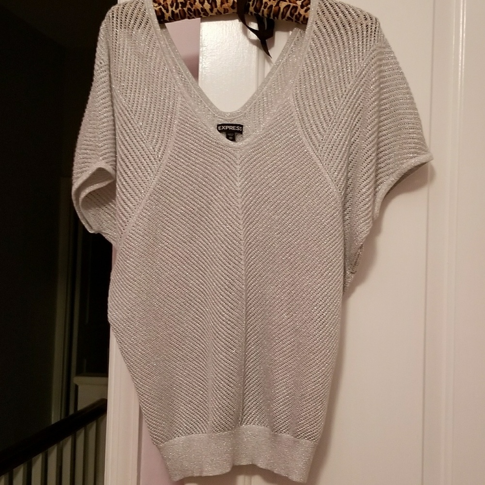 Express metallic sweater top XS