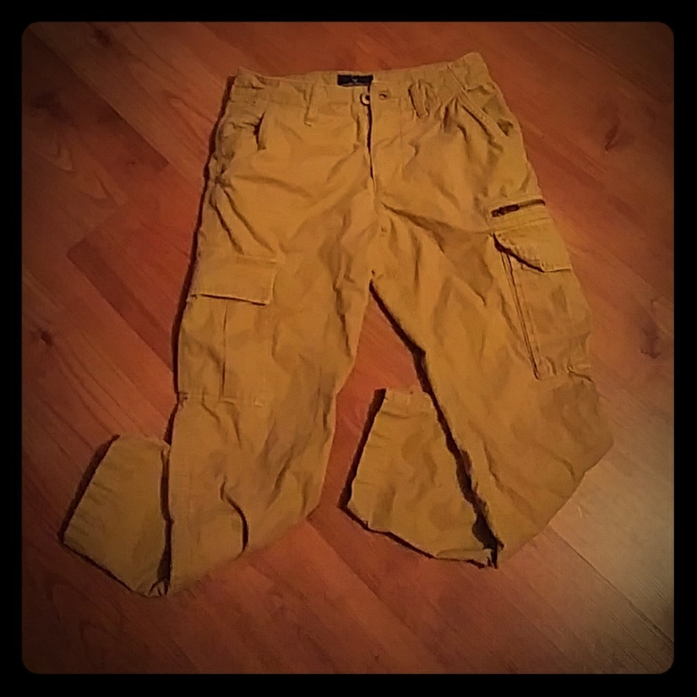 Cargo Pants American Eagle Outfitters