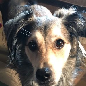 Meet your Posher, Lynn