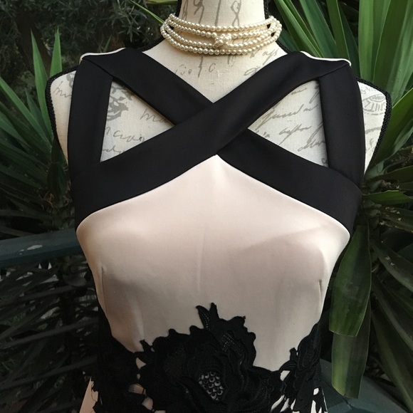 New! Jax Sheath. Dress - Picture 2 of 8