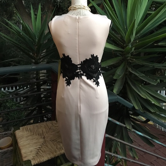 New! Jax Sheath. Dress - Picture 6 of 8