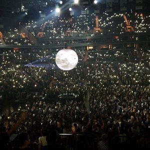 Meet your Posher, Bobbie