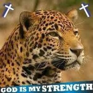 Meet your Posher, Dorothy