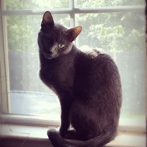 Meet your Posher, Amber