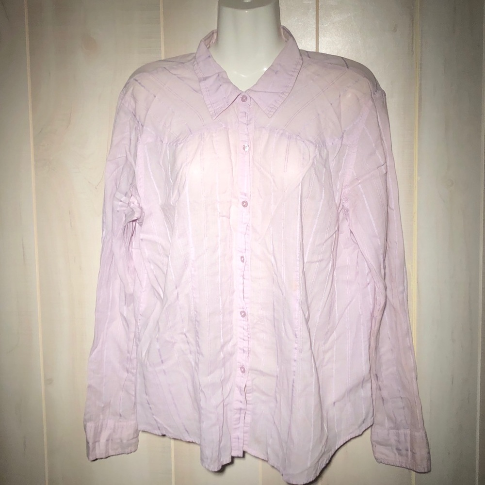 Sheer Lilac western style button up long sleeve