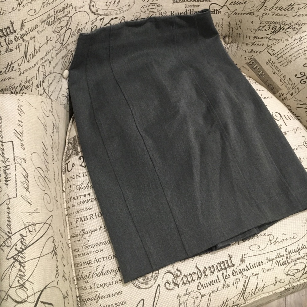 Express Skirt