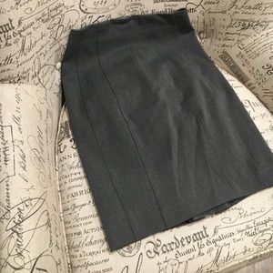 Express Skirt
