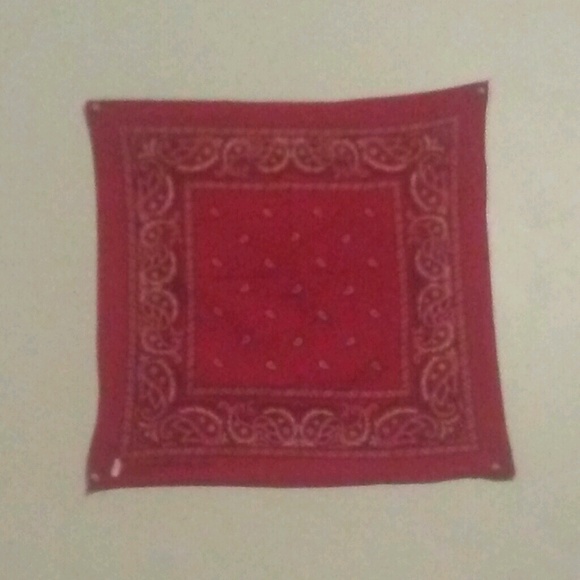 Meet your Posher, Isaiah - Picture 1 of 1