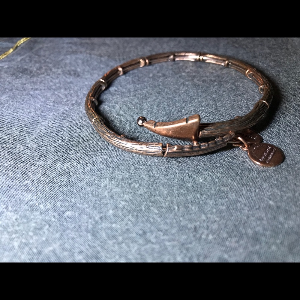 Alex and Ani Eros Arrow