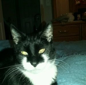 Meet your Posher, Sheryl