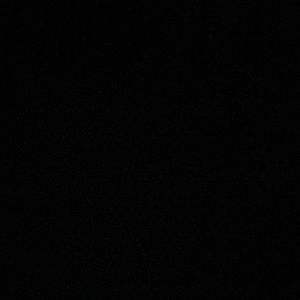 Meet your Posher, Mackenzie