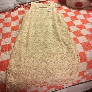 Loft white lace dress