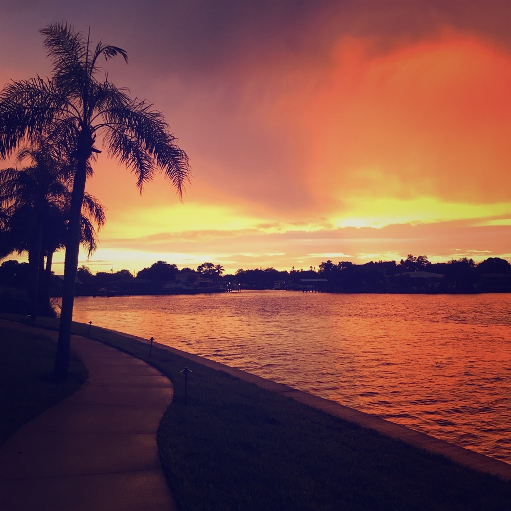 Meet your Posher, Tawni