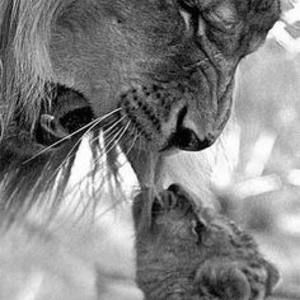 Meet your Posher, Marcel