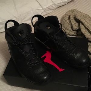Air Jordan 6 black cat sz14