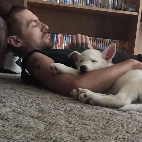 Meet your Posher, Matt - Picture 1 of 1