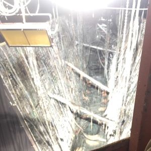 Meet your Posher, Noah