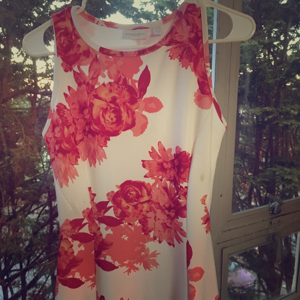 New York & Company Spring Floral Dress 🌺