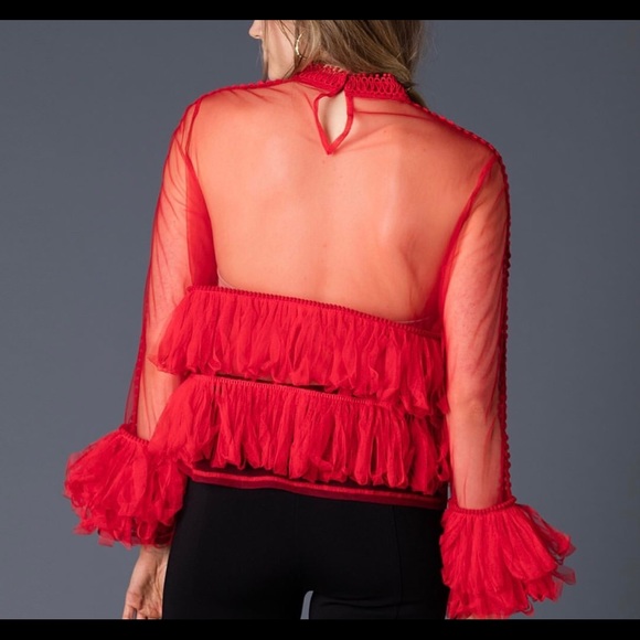 Beautiful Plus SZ Classy Sheer Blouse! Stunning! - Picture 2 of 2