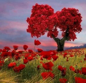 Meet your Posher, Rose