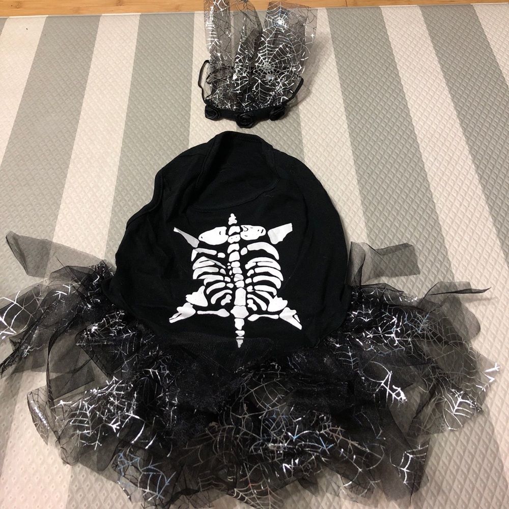 Dog Halloween costume in size medium