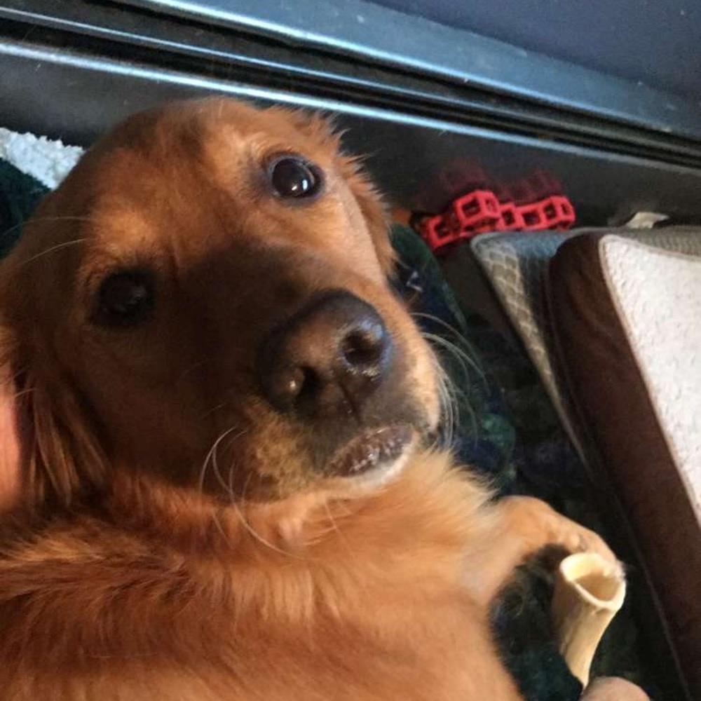 Meet your Posher, Bradley