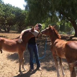 Meet your Posher, Jocelyn