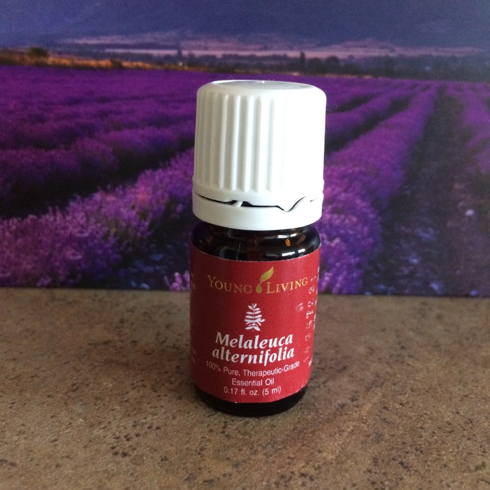 Melaleuca essential oil young living