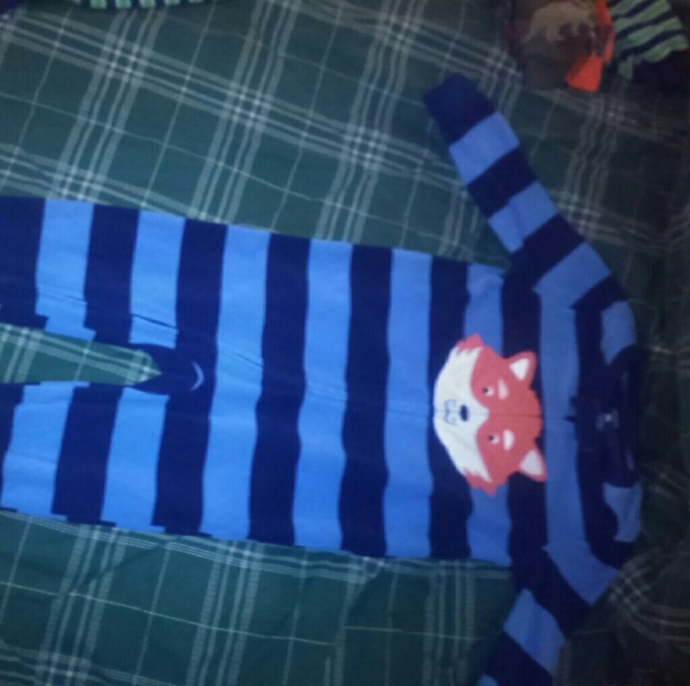 Blue Striped Footed Fox Pajamas!!