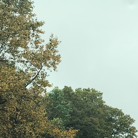 Meet your Posher, Sophia - Picture 1 of 1