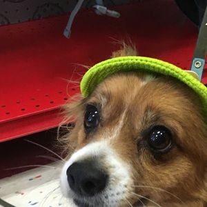 Meet your Posher, Karina