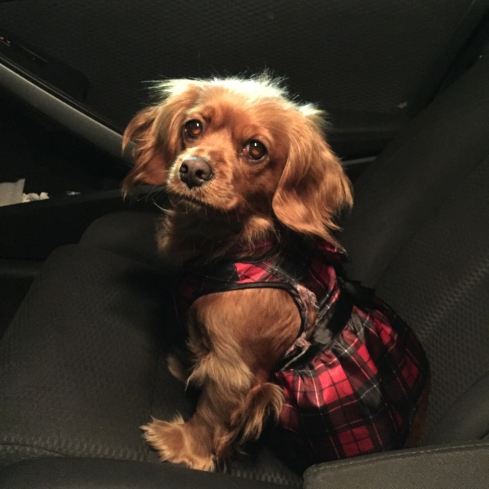 Meet your Posher, Kimberly