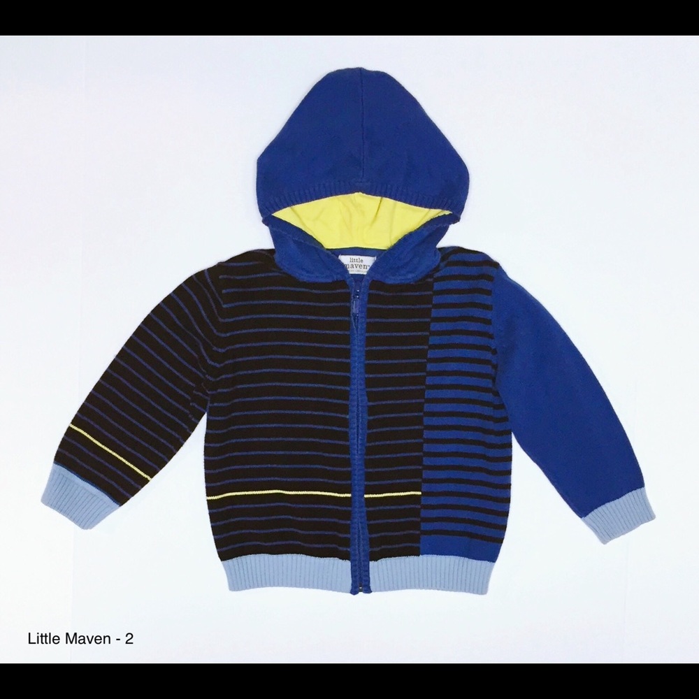 Little Maven Hooded Zippy Sweater - 2