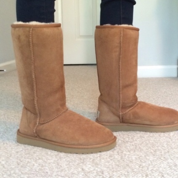UGG Classic Chillapeak Tall Chestnut Boots - Women Chestnut Tall uggs