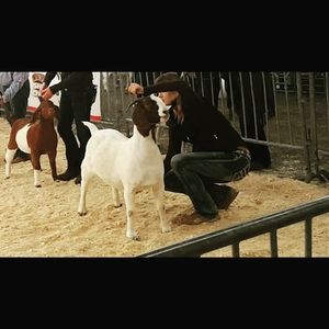 Meet your Posher, Aubrey