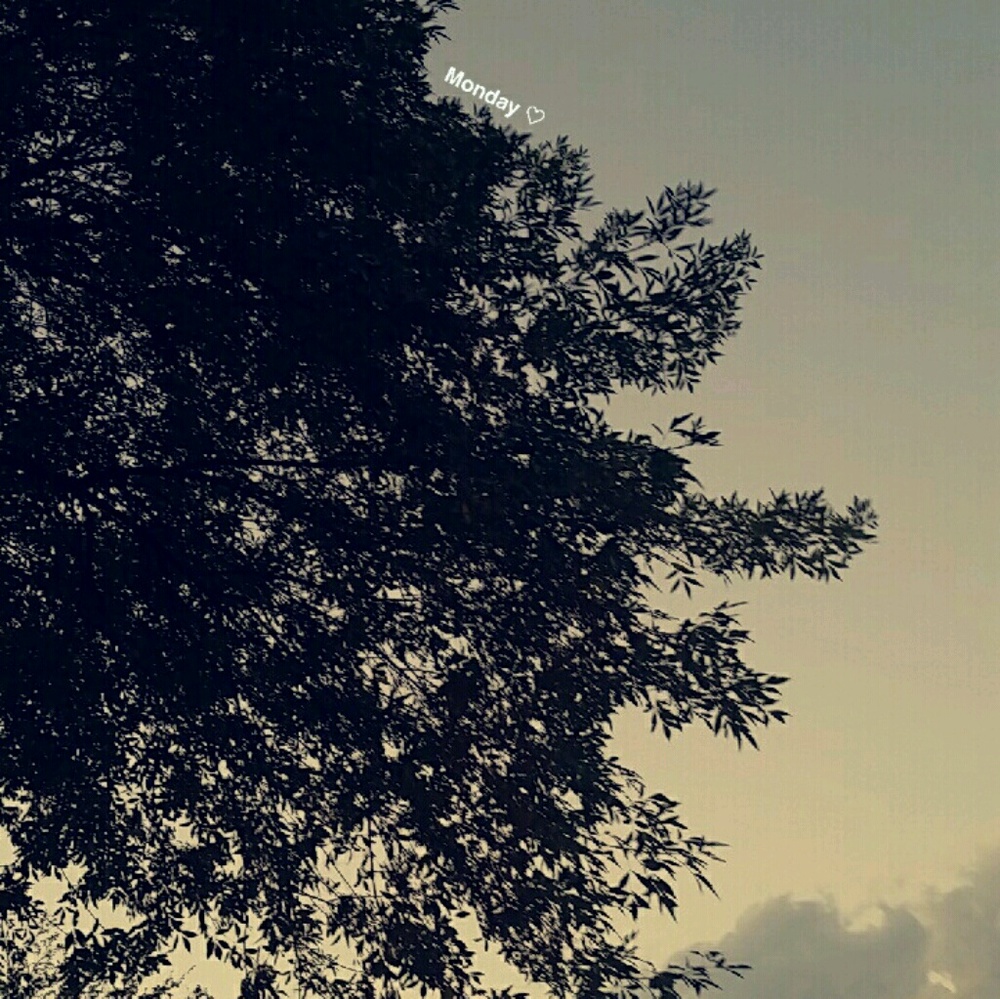 Meet your Posher, Alexia