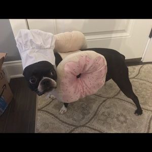 Meet your Posher, Laura