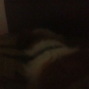 Meet your Posher, Riley