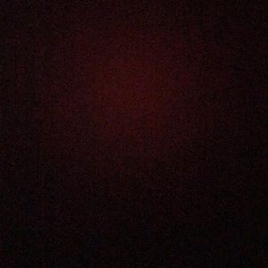 Meet your Posher, Carly