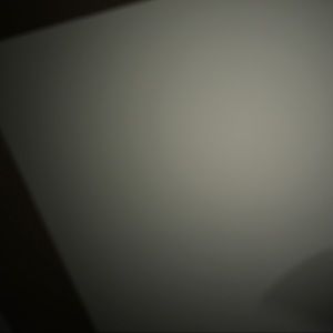 Meet your Posher, Roosevelt