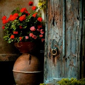 Meet your Posher, Naazi